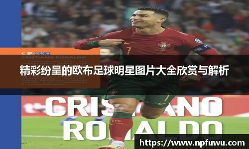 精彩纷呈的欧布足球明星图片大全欣赏与解析